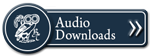 audio icon