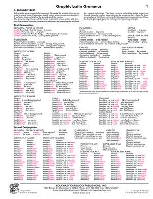 Graphic Latin Grammar Cards