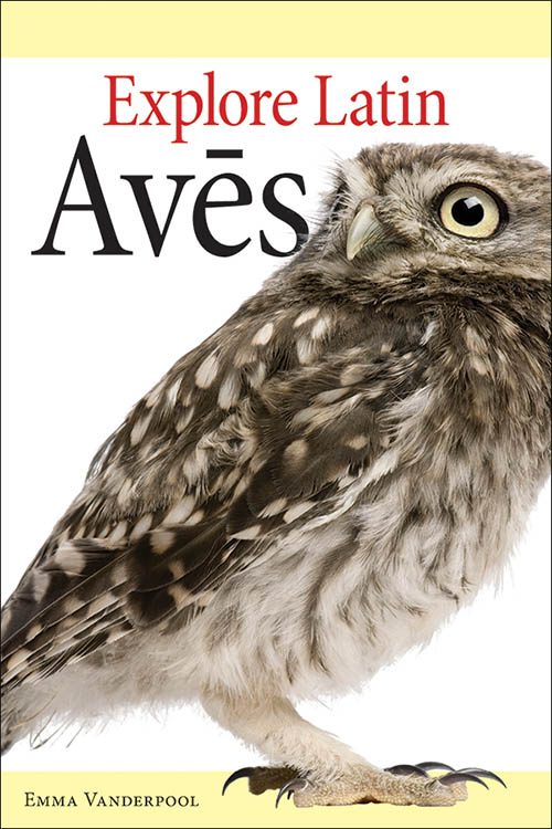 Explore Latin: Aves
